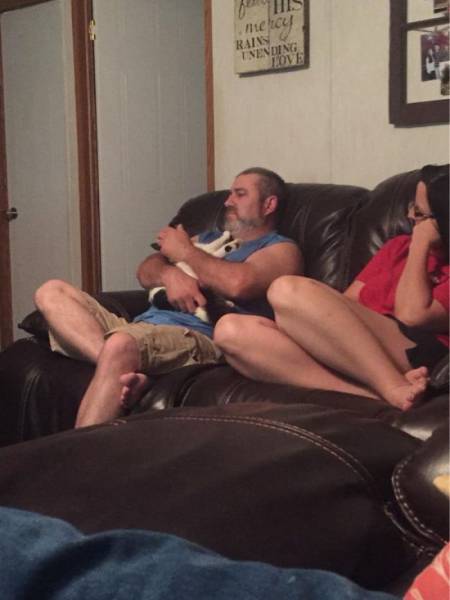 No One Can Hate Cats Forever!