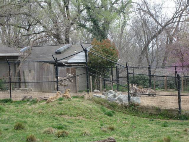 daily picdump 95 pics 45.html - 95 HD Photos | Premium Gallery 2017