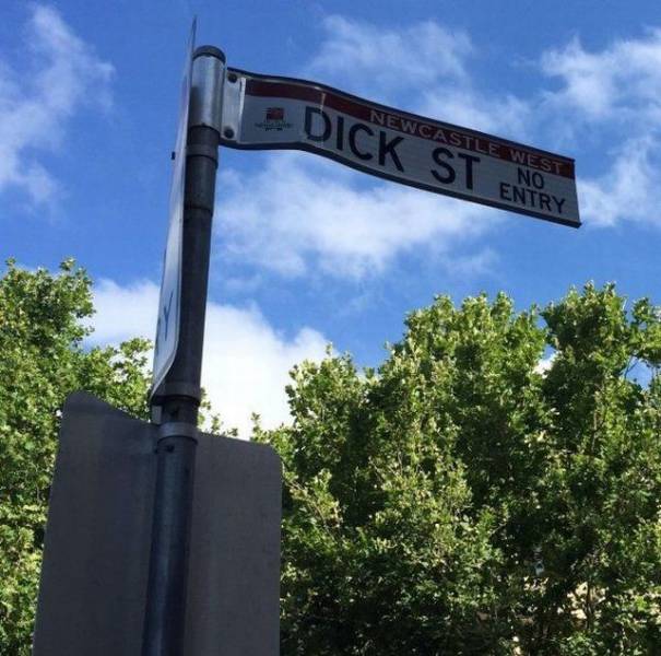 daily picdump 95 pics 45.html - 95 HD Photos | Premium Gallery 2017