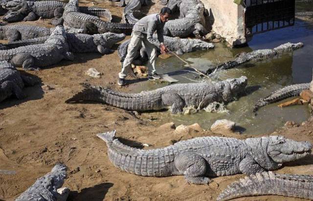 daily picdump 95 pics 45.html - 95 HD Photos | Premium Gallery 2017