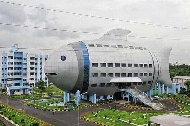 daily picdump 95 pics 45.html - 95 HD Photos | Premium Gallery 2017