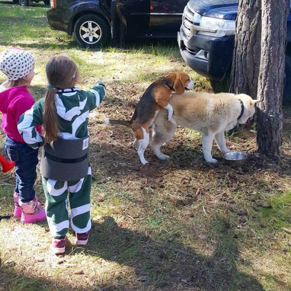 daily picdump 95 pics 45.html - 95 HD Photos | Premium Gallery 2017