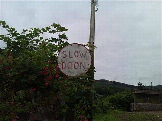 daily picdump 95 pics 45.html - 95 HD Photos | Premium Gallery 2017