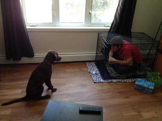 daily picdump 95 pics 45.html - 95 HD Photos | Premium Gallery 2017