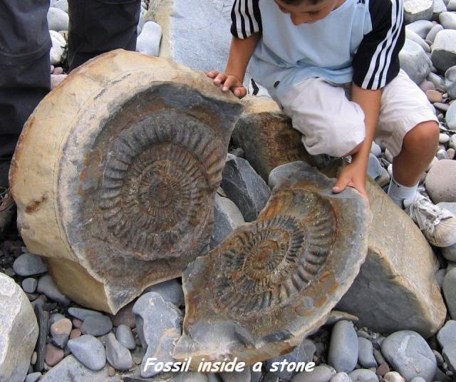 daily picdump 95 pics 45.html - 95 HD Photos | Premium Gallery 2017