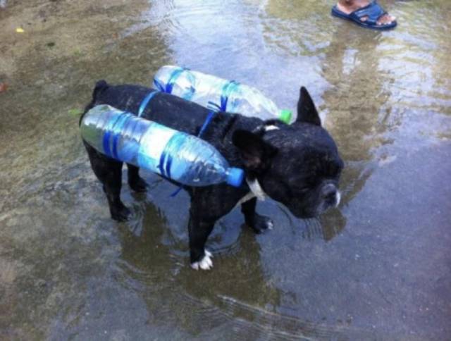 morning picdump 51 pics 1.html - 51 HD Photos | Premium Gallery 2017