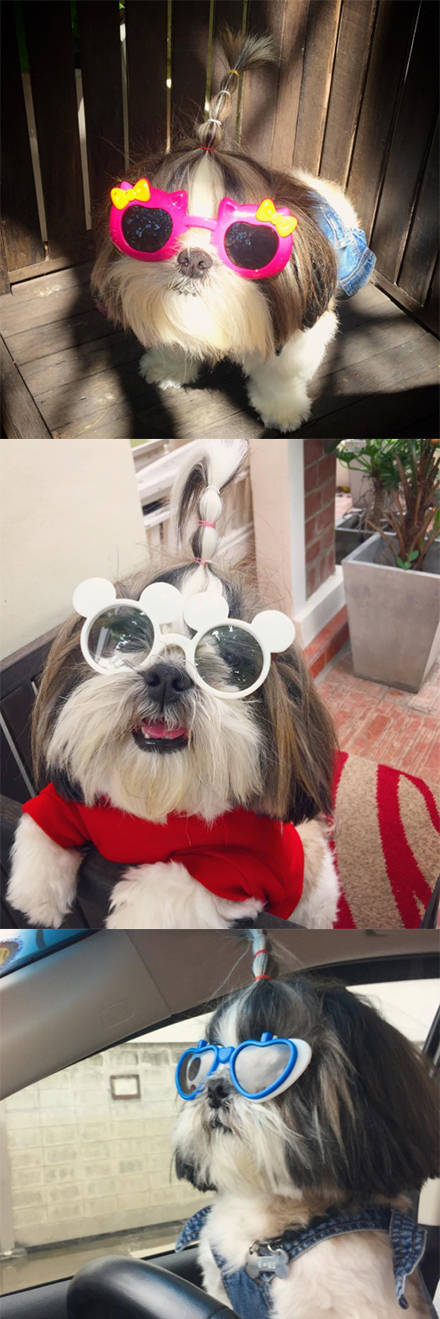 morning picdump 51 pics 1.html - 51 HD Photos | Premium Gallery 2017