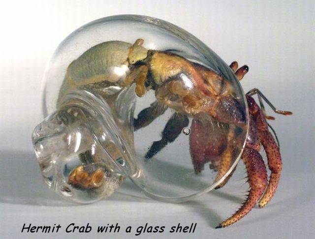 daily picdump 95 pics 7.html - 95 HD Photos | Premium Gallery 2017