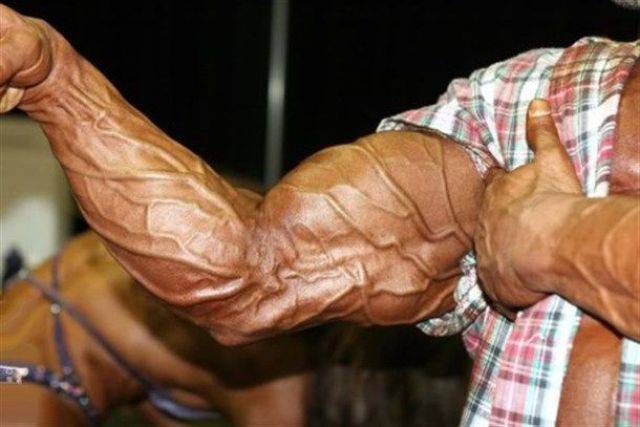 daily picdump 95 pics 7.html - 95 HD Photos | Premium Gallery 2017