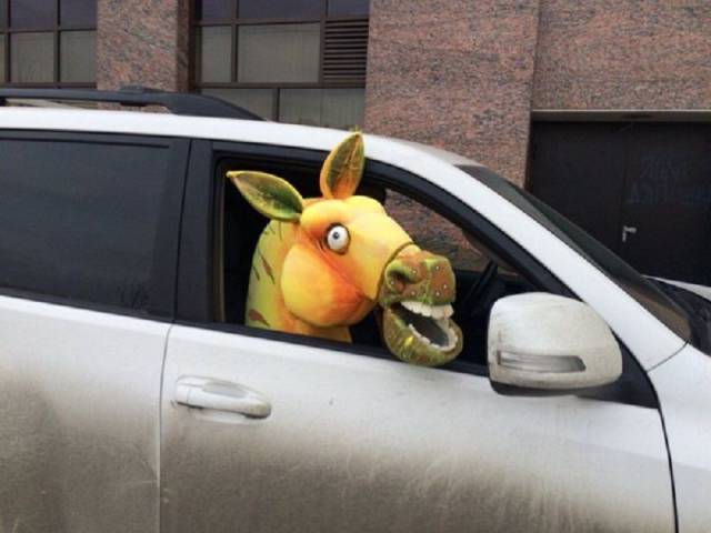 daily picdump 95 pics 7.html - 95 HD Photos | Premium Gallery 2017