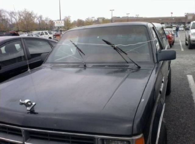 daily picdump 95 pics 7.html - 95 HD Photos | Premium Gallery 2017