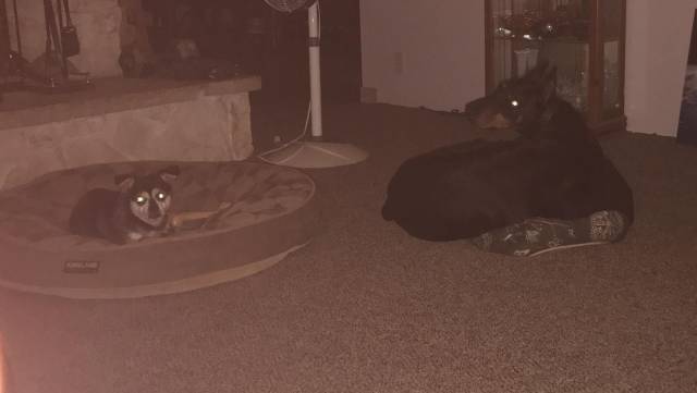 daily picdump 95 pics 7.html - 95 HD Photos | Premium Gallery 2017