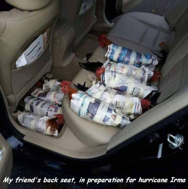 daily picdump 95 pics 7.html - 95 HD Photos | Premium Gallery 2017