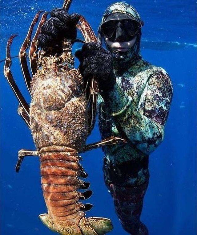 daily picdump 95 pics 7.html - 95 HD Photos | Premium Gallery 2017