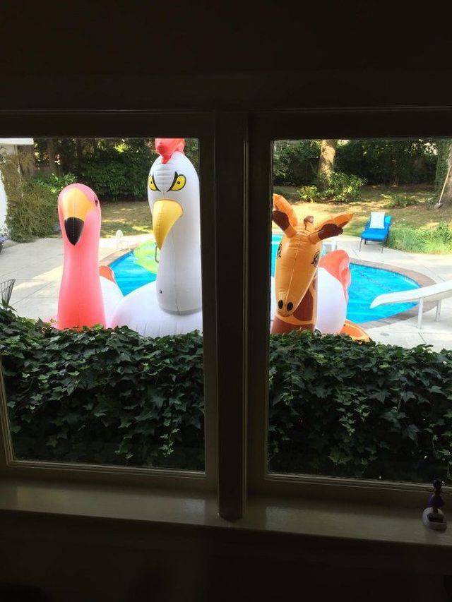 daily picdump 95 pics 7.html - 95 HD Photos | Premium Gallery 2017