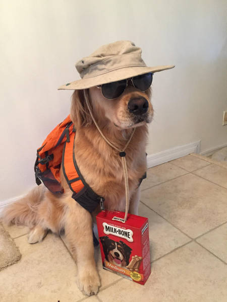 morning picdump 51 pics 8.html - 51 HD Photos | Premium Gallery 2017