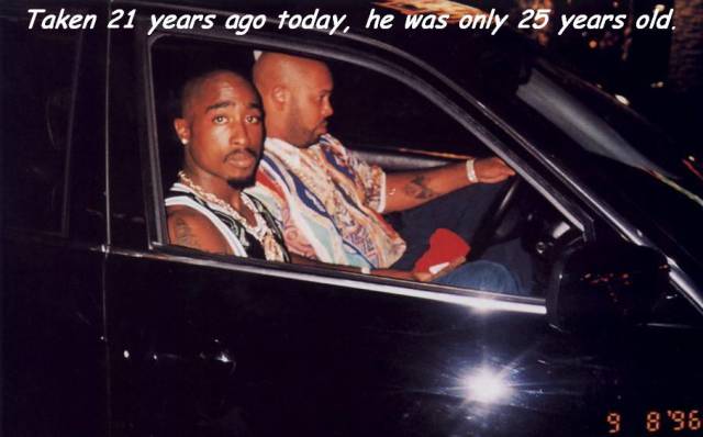 daily picdump 93 pics 5.html - 93 HD Photos | Premium Gallery 2017