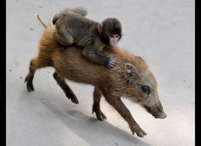 daily picdump 93 pics 5.html - 93 HD Photos | Premium Gallery 2017