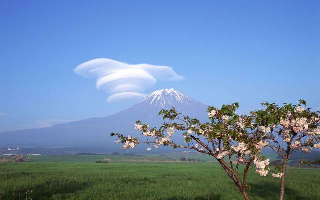 daily picdump 93 pics 5.html - 93 HD Photos | Premium Gallery 2017