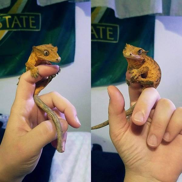 daily picdump 93 pics 5.html - 93 HD Photos | Premium Gallery 2017