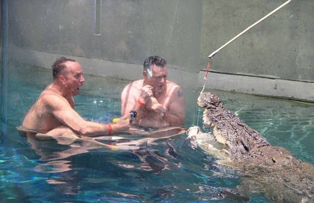 daily picdump 93 pics 5.html - 93 HD Photos | Premium Gallery 2017