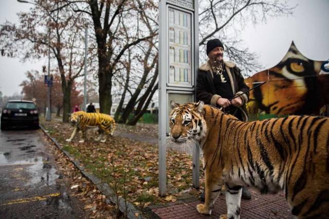 daily picdump 93 pics 5.html - 93 HD Photos | Premium Gallery 2017