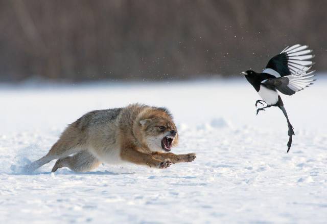 daily picdump 93 pics 5.html - 93 HD Photos | Premium Gallery 2017