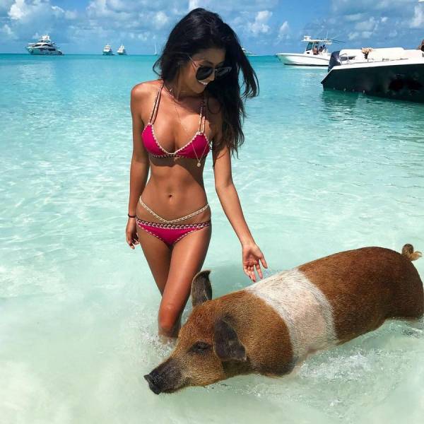 daily picdump 93 pics 5.html - 93 HD Photos | Premium Gallery 2017