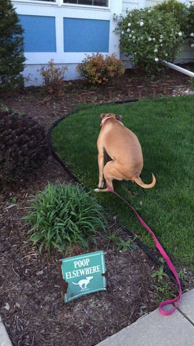 daily picdump 93 pics 5.html - 93 HD Photos | Premium Gallery 2017