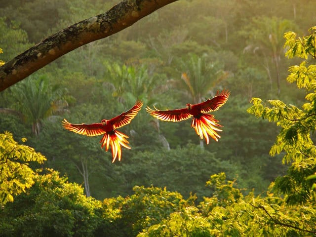 morning picdump 51 pics 9.html - 51 HD Photos | Premium Gallery 2017