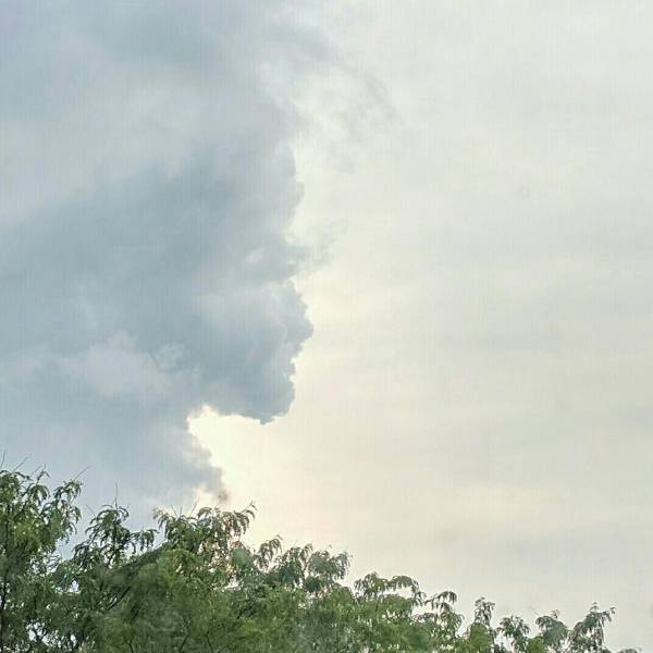 morning picdump 51 pics 9.html - 51 HD Photos | Premium Gallery 2017