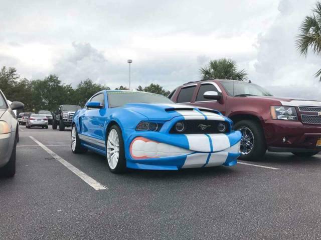 morning picdump 51 pics 9.html - 51 HD Photos | Premium Gallery 2017