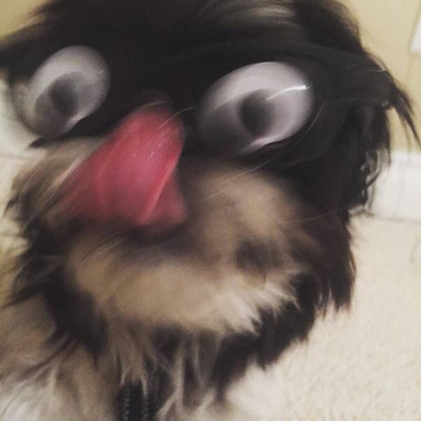 morning picdump 51 pics 9.html - 51 HD Photos | Premium Gallery 2017