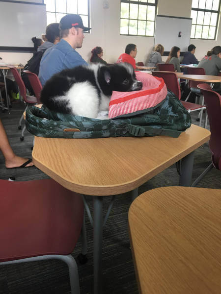 morning picdump 51 pics 9.html - 51 HD Photos | Premium Gallery 2017