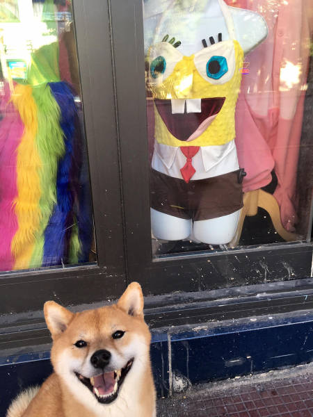 morning picdump 51 pics 9.html - 51 HD Photos | Premium Gallery 2017