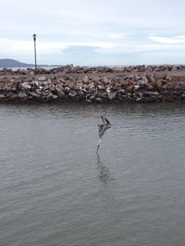 morning picdump 51 pics 9.html - 51 HD Photos | Premium Gallery 2017