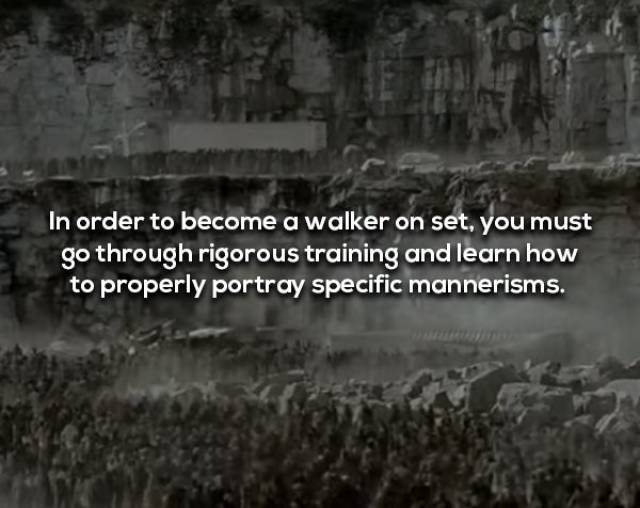 Not Brain-Dead Facts About “The Walking Dead”