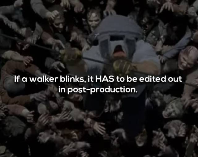 Not Brain-Dead Facts About “The Walking Dead”