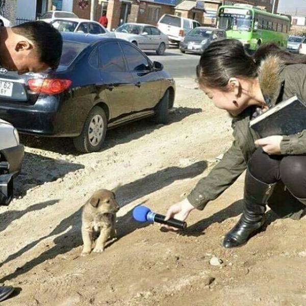 Daily Picdump [WEEKEND EDITION]