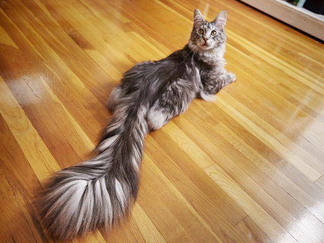 Daily Picdump [WEEKEND EDITION]