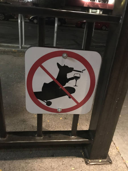 Daily Picdump [WEEKEND EDITION]