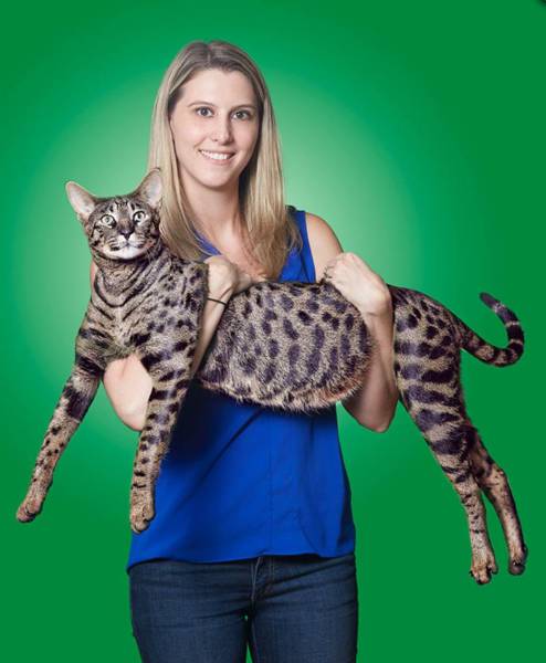 daily picdump weekend edition 50 pics 18.html - 50 HD Photos | Premium Gallery 2017