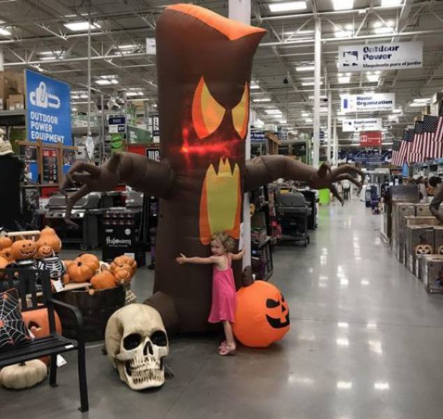 daily picdump weekend edition 50 pics 18.html - 50 HD Photos | Premium Gallery 2017