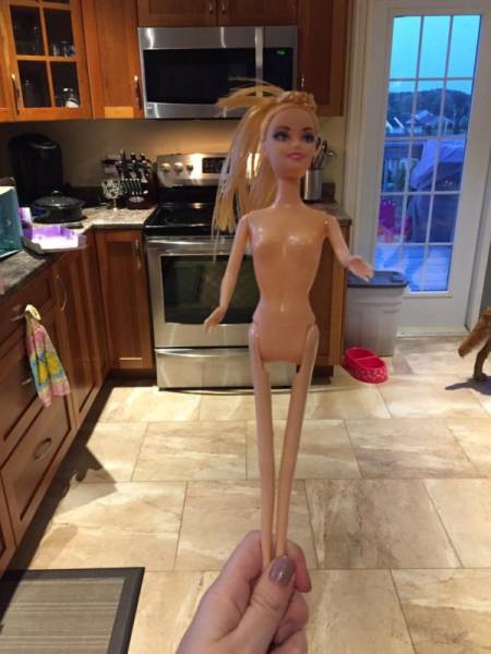 daily picdump weekend edition 50 pics 18.html - 50 HD Photos | Premium Gallery 2017