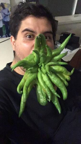 daily picdump 83 pics 29.html - 83 HD Photos | Premium Gallery 2017