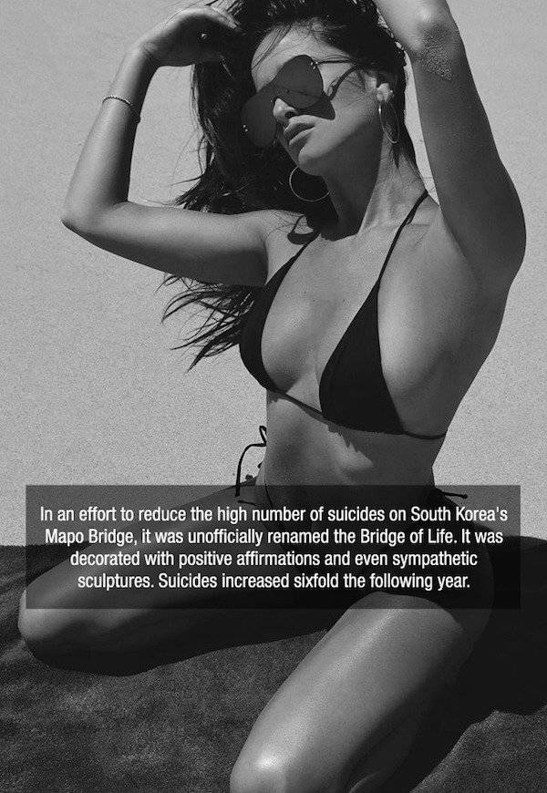 Best Girls Bring You The Best Facts