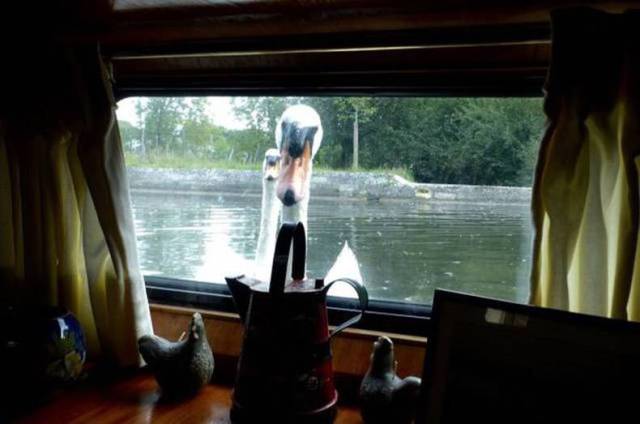 daily picdump 84 pics 28.html - 84 HD Photos | Premium Gallery 2017