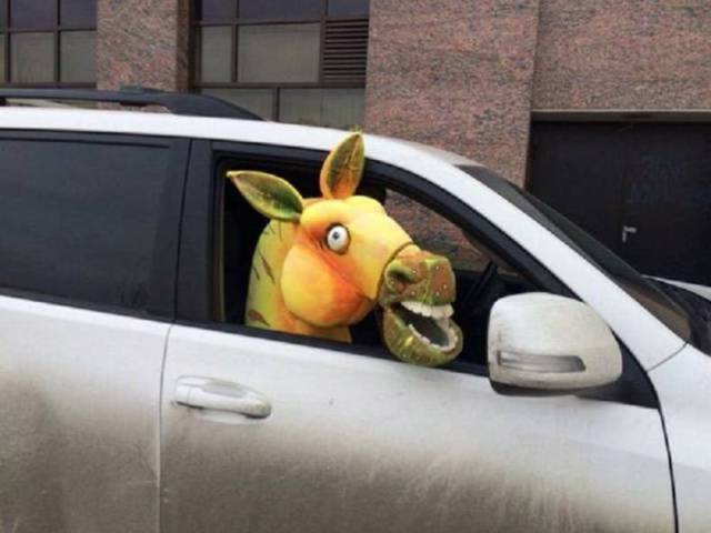 daily picdump 84 pics 28.html - 84 HD Photos | Premium Gallery 2017