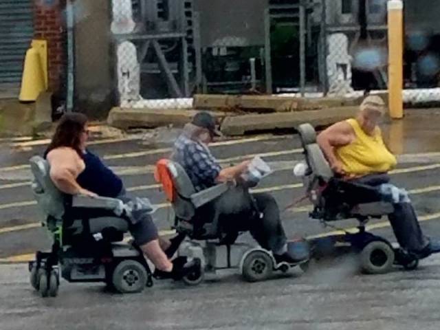 daily picdump 84 pics 28.html - 84 HD Photos | Premium Gallery 2017