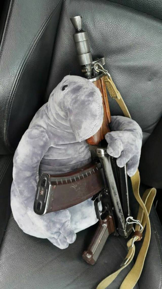 daily picdump 84 pics 28.html - 84 HD Photos | Premium Gallery 2017